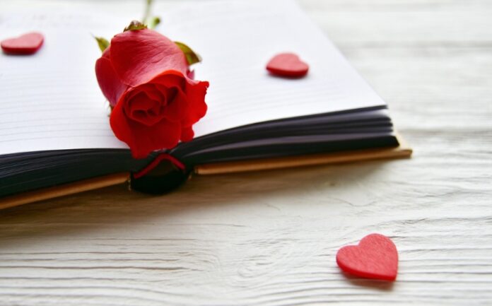book recommendations for fans of digital romance