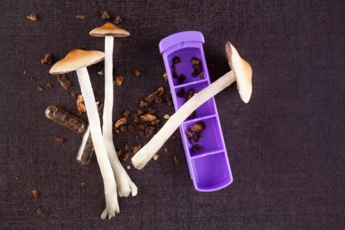 how to prep measure and store mushrooms for microdosing