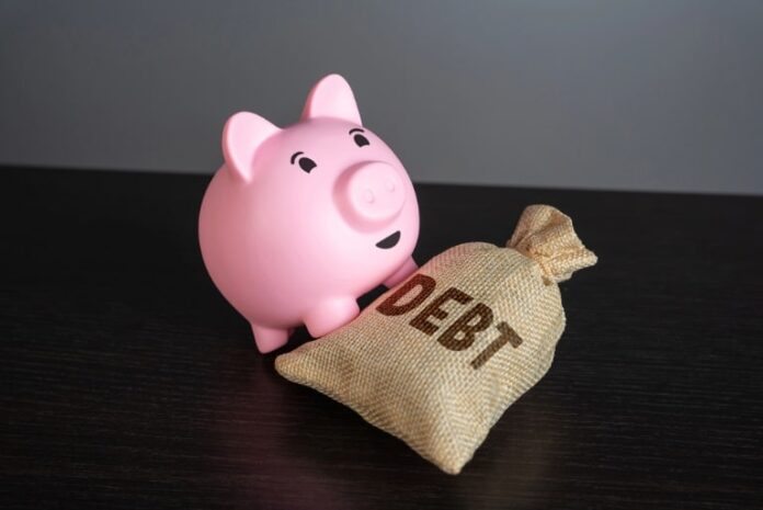 legal ways to share the debt burden without risking your finances