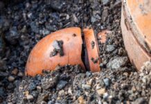 Home Value vs. Home Hazards: What a Broken Sewer Line Can Really Cost You home value vs home hazards what a broken sewer line can really cost you