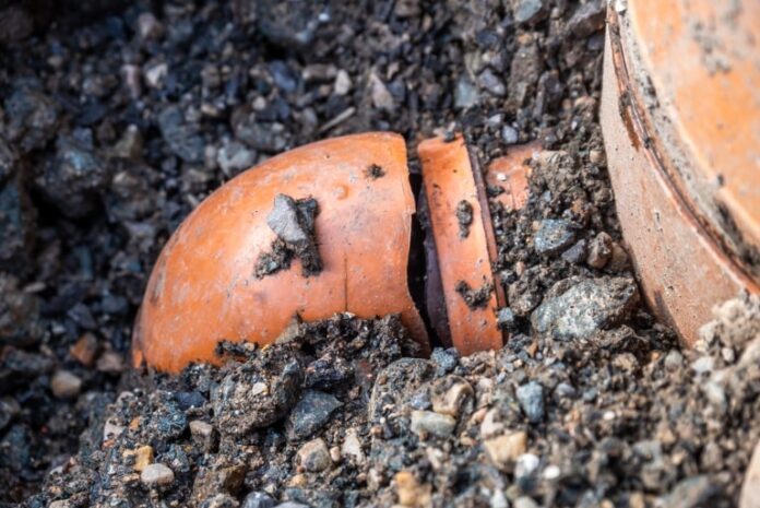 home value vs home hazards what a broken sewer line can really cost you