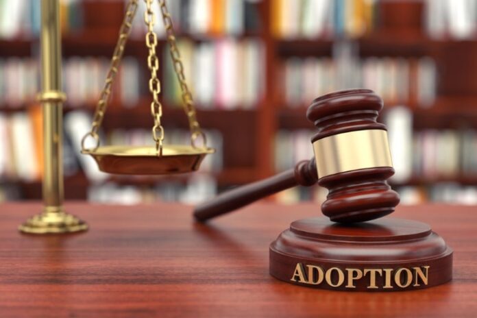 the journey of adoption legal guide and support