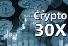 Crypto30x.com: What You Need to Know Before Investing crypto30x com