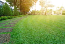 The Beginner’s Guide to Lawn Maintenance for Stunning Home Landscapes The Beginner’s Guide to Lawn Maintenance for Stunning Home Landscapes